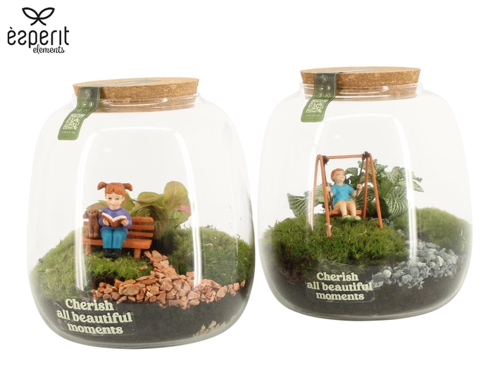 <h4>90982: Little Green Moments Terrarium</h4>