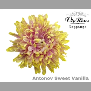 CHR G ANTONOV SWEET VANILLA