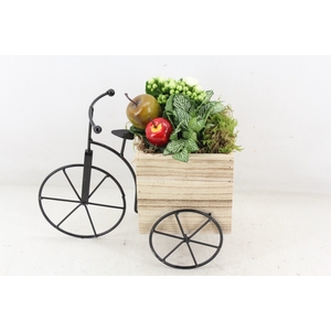 arr2 TD - Driewieler - wit