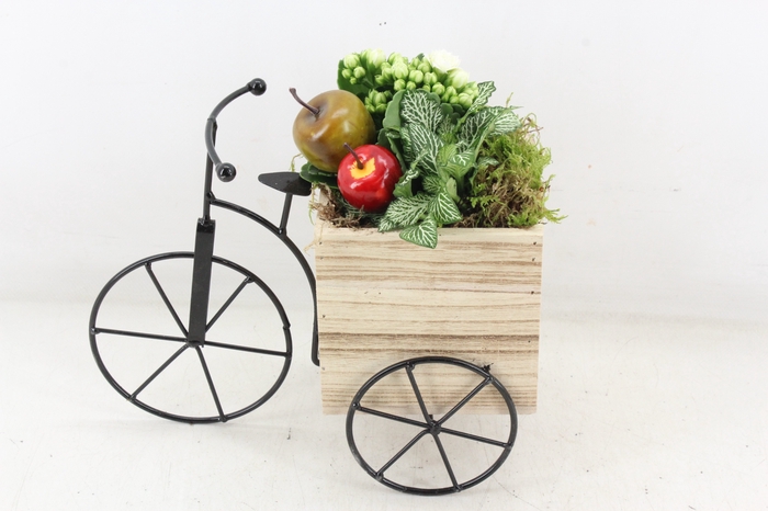 <h4>arr2 TD - Driewieler - wit</h4>