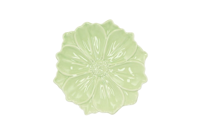 Bloom Cosmea Plate Green 18x18x4cm