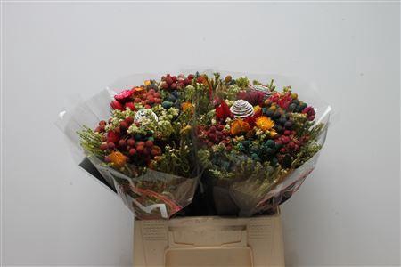 <h4>Protea   ...</h4>