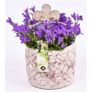 Cement pot barok motief 14cm