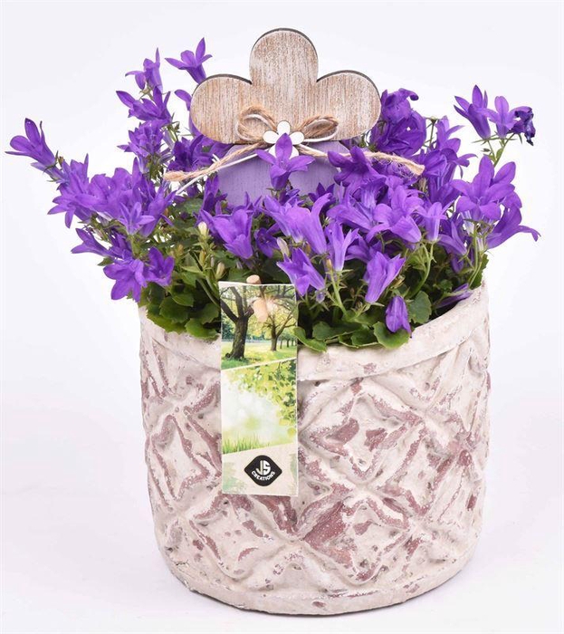 <h4>Cement pot barok motief 14cm</h4>