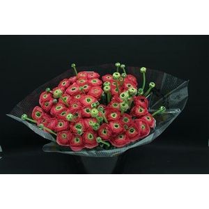 Cloni Super Charleston