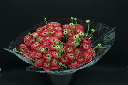 <h4>Cloni Super Charleston</h4>