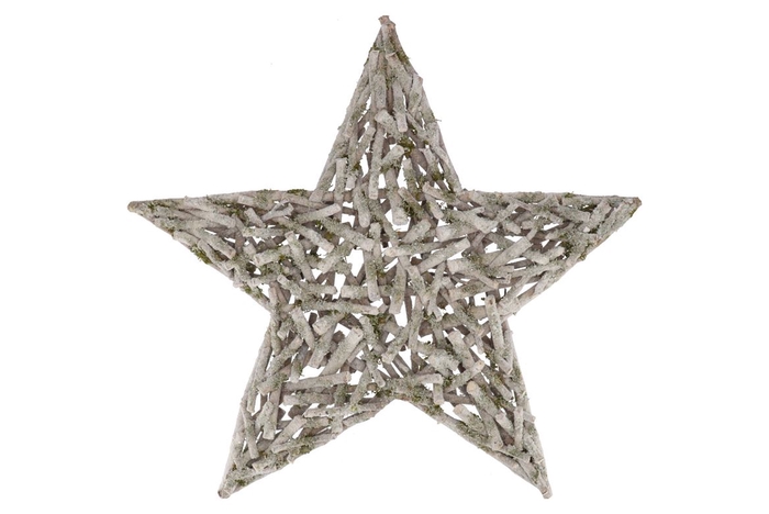 Festive Star Poplar Moss With Snow 90x90x10cm