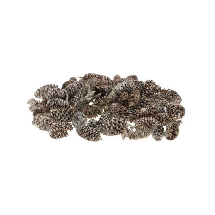 <h4>Pinecone Birch 30gr</h4>