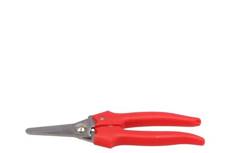 <h4>Floristry Hobby Scissors Big Red Budget</h4>