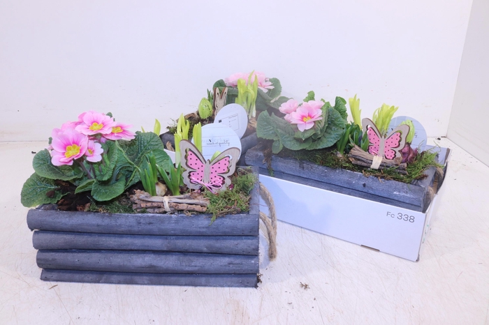 <h4>ARR TUINPLANTEN</h4>