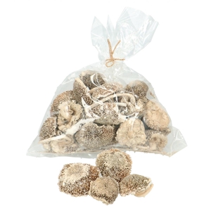 Dried flowers Sunflower heads x25