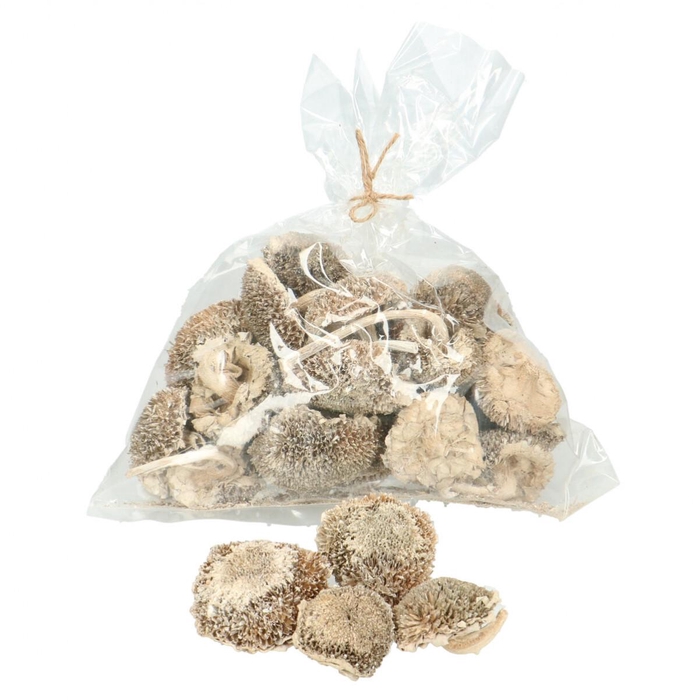 <h4>Dried flowers Sunflower heads x25</h4>