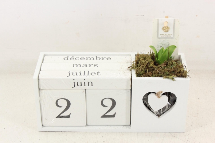 <h4>arr4 Hyacint FL - Hout kalender wit</h4>
