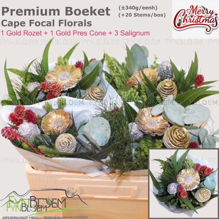 <h4>KAAPS GROE GEM IN BS</h4>