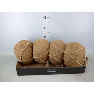 Pot   ...versierd H%