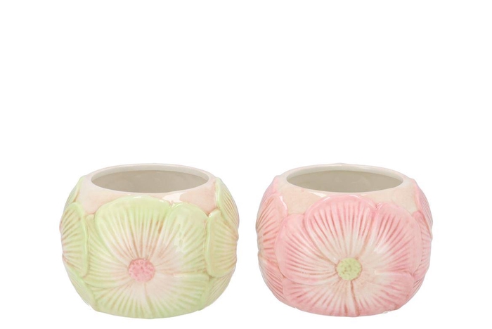 <h4>Demi Pastel Flower Pot Ass 14x14x10cm</h4>