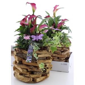 ARR TUINPLANTEN
