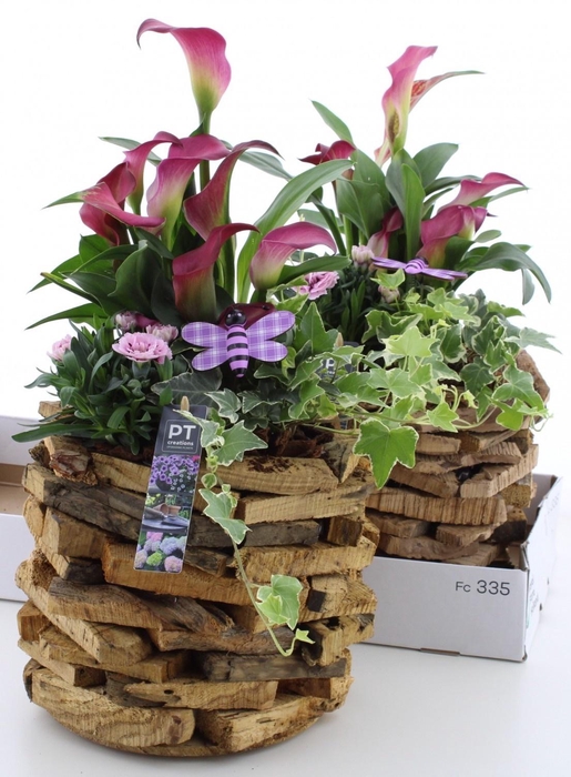 <h4>ARR TUINPLANTEN</h4>