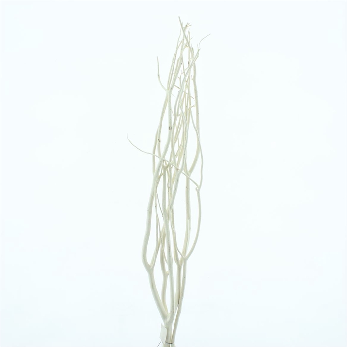 <h4>Dried Mitsumata White</h4>
