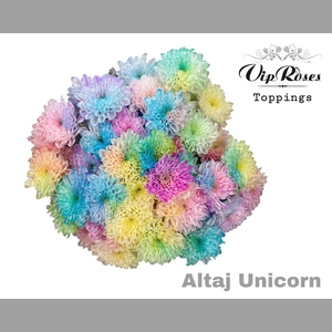 CHR T ALTAJ UNICORN
