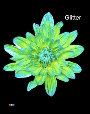 Chr T 2 Kl Baltica Double Mint + Glit Bio