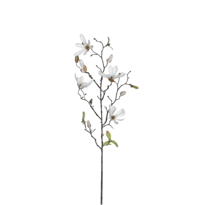 <h4>Magnolia 75cm</h4>