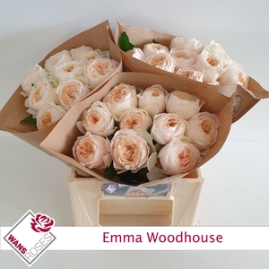 R GR EMMA WOODHOUSE