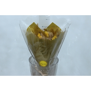 PLANTA SECA BUQUE VARIADO PROFETIC PROSPERIDADE 50CM