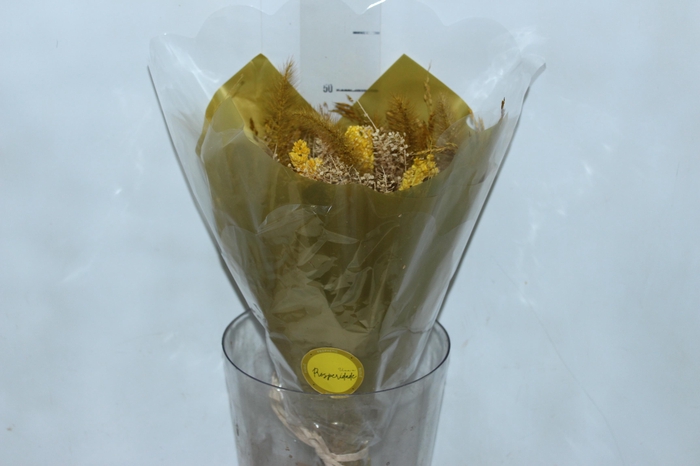 <h4>PLANTA SECA BUQUE VARIADO PROFETIC PROSPERIDADE 50CM</h4>