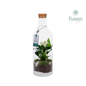 Green Bottle Fles Medium met Anthurium