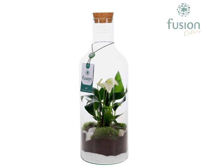<h4>Green Bottle Fles Medium met Anthurium</h4>
