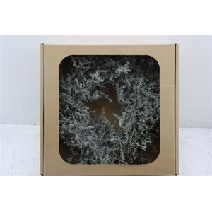 Wr Asparagus Wax Naturel White 35cm
