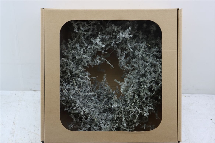 <h4>Wr Asparagus Wax Naturel White 35cm</h4>