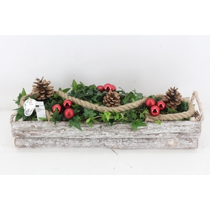 arr2 PL - Hout balk hedera rood
