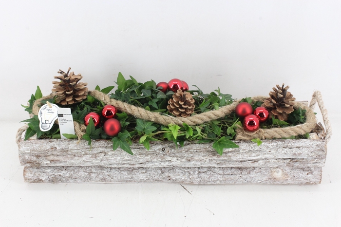 arr2 PL - Hout balk hedera rood