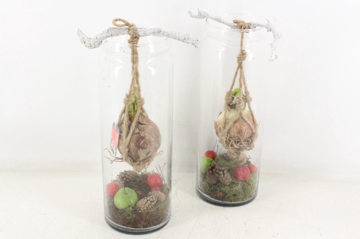 <h4>arr4 Amaryllis MB - Glas vaas hoog hang</h4>