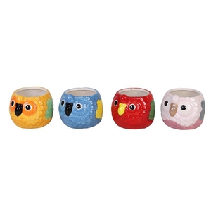 DIVERSE P6 L 811 PARROT