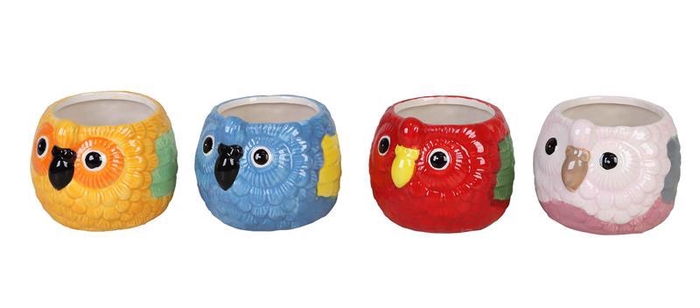 <h4>DIVERSE P6 L 811 PARROT</h4>