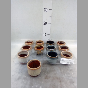 Decoratieve materialen   ...H%