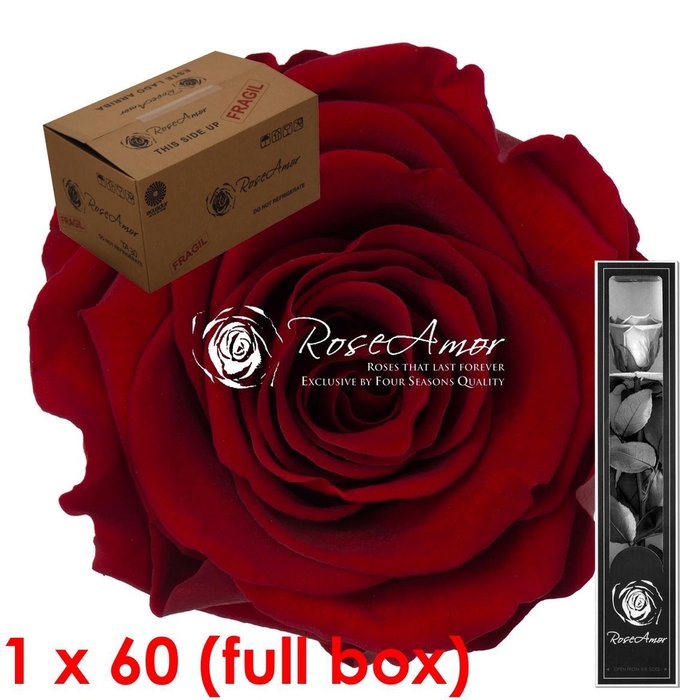 <h4>30cm Stem Red01 Bulk</h4>