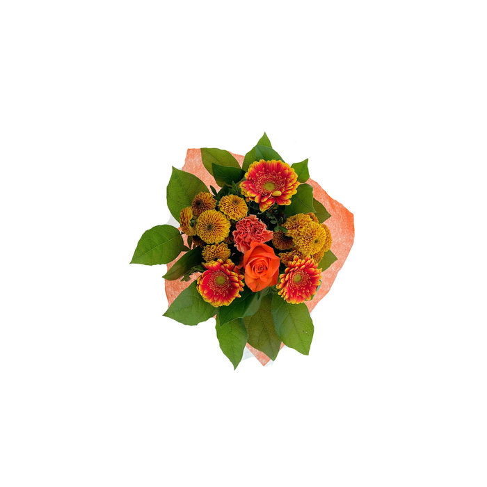 <h4>BQ Shorties Orange</h4>
