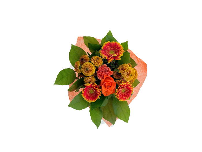 BQ Shorties Orange