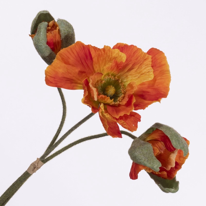 <h4>Papaver Bundle Red Orange BK770015ROR</h4>