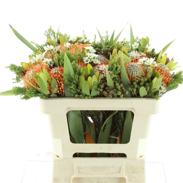 <h4>Kaaps Bouquet Pincushion</h4>