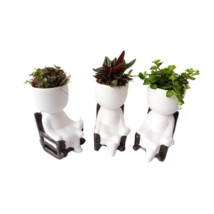 Arr.   Kamerplant Groen L%