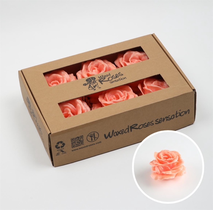 Zijde Wax-Rozen Wax Zijde Versilia