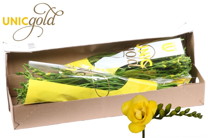 <h4>UG Barendse - Soleil box</h4>