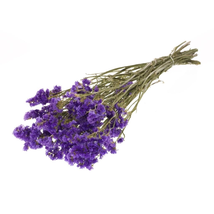 <h4>Statice sinuata natural lilac</h4>