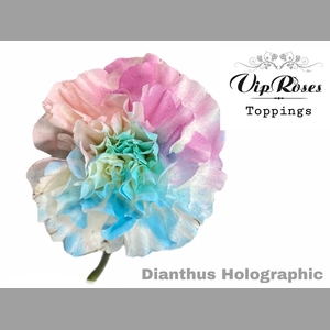 DI ST HOLOGRAPHIC PASTELS