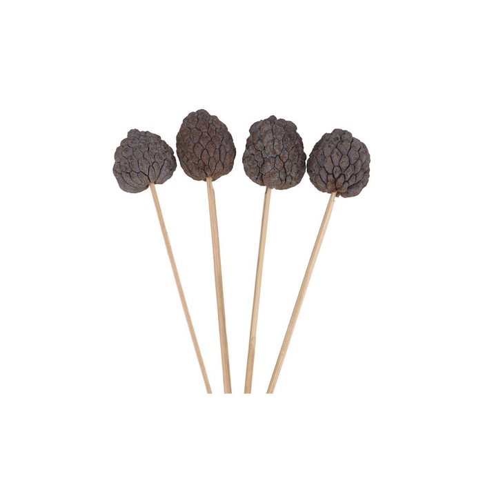 <h4>Pick Nature Ata Fruit Naturel P/30</h4>